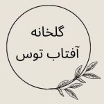 Green and Black Simple & Circular Online Event Logo (7)